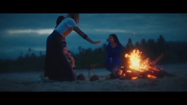 Video Reference: Sky, Cloud, Flash photography, Bonfire, Gesture, Atmospheric phenomenon, Tree, Fire, People in nature, Plant