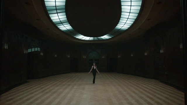 Video Reference: Tints and shades, Building, Symmetry, Flooring, Darkness, Composite material, Art, Shadow, Ceiling, Circle