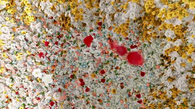 Video Reference: Paint, Petal, Art, Pattern, Creative arts, Painting, Wildflower, People in nature, Visual arts, Carmine