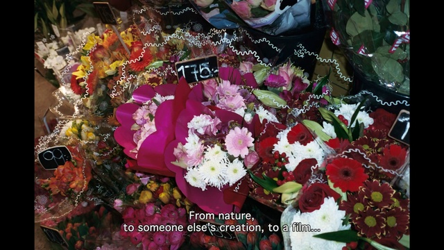 Video Reference: Flower, Petal, Plant, Creative arts, Flower Arranging, Bouquet, Artificial flower, Flowering plant, Magenta, Annual plant