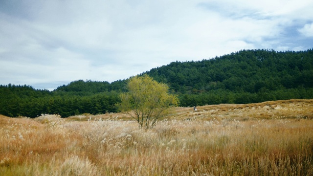 Video Reference: Cloud, Sky, Plant, Natural landscape, Tree, Land lot, Highland, Landscape, Mountainous landforms, Plain