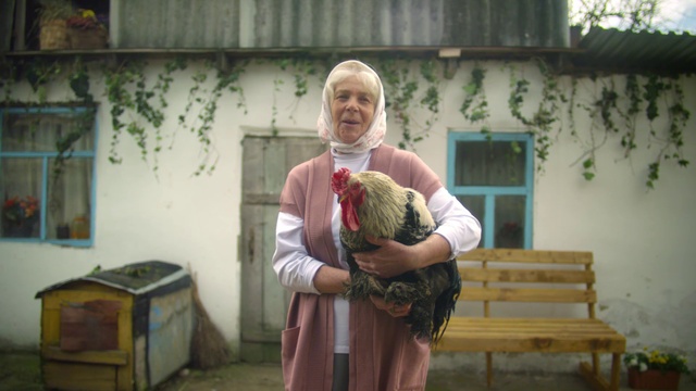 Video Reference: Plant, Fawn, Outdoor bench, Beard, Happy, Event, Chicken, Companion dog, Fun, Leisure