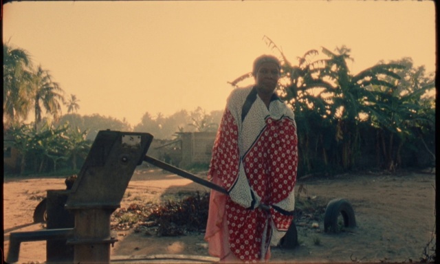 Video Reference: Plant, Sky, Wheel, Grass, Tree, Adaptation, Landscape, Automotive tire, Rural area, Tints and shades
