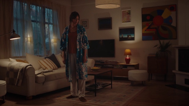 Video Reference: Picture frame, Property, Furniture, Couch, Comfort, Table, Interior design, Building, Living room, Window