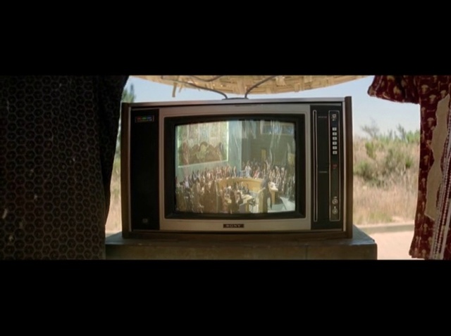 Video Reference: Plant, Wood, Television set, House, Building, Hardwood, Flat panel display, Display device, Tree, Event