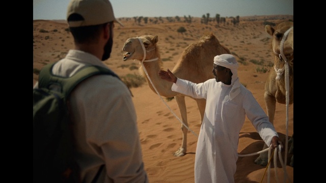 Video Reference: Ecoregion, Natural environment, Camel, Gesture, Landscape, Erg, Adaptation, Camelid, Working animal, Aeolian landform