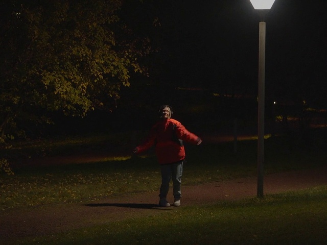 Video Reference: Atmosphere, Plant, Flash photography, Standing, Lighting, Tree, People in nature, Grass, Street light, Tints and shades