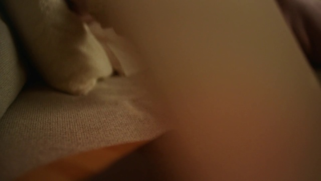 Video Reference: Petal, Chest, Human leg, Wood, Comfort, Linens, Fur, Peach, Macro photography, Flesh