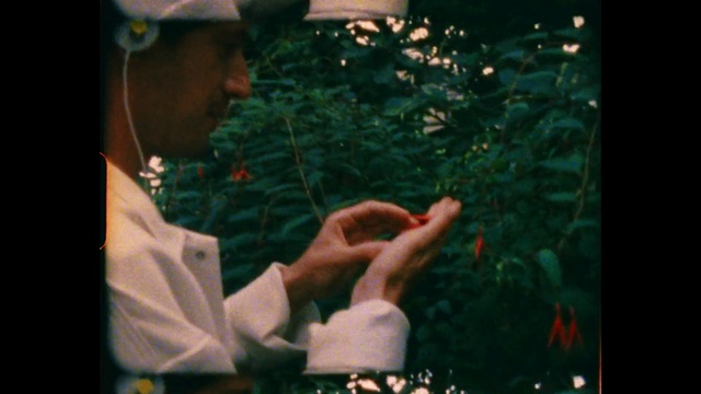 Video Reference: Green, Plant, Organism, Gesture, Flash photography, Finger, People in nature, Adaptation, Hat, Cap