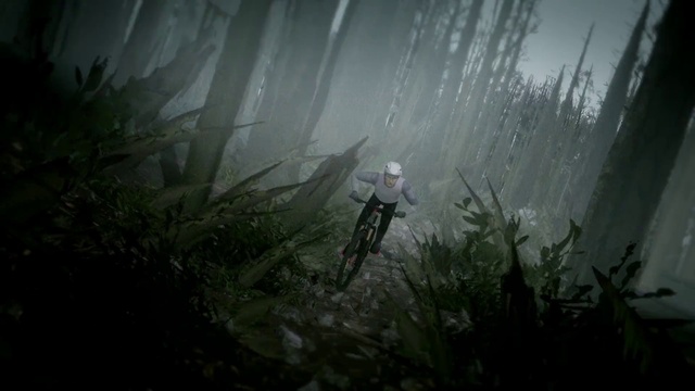 Video Reference: Atmosphere, Plant, Bicycle, Tire, Natural environment, Cloud, Terrestrial plant, Wood, Sunlight, Wheel