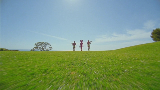 Video Reference: Sky, Cloud, People in nature, Green, Natural landscape, Gesture, Land lot, Grass, Tree, Slope