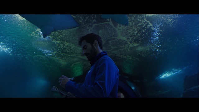 Video Reference: World, Organism, Flash photography, Underwater, Marine biology, Entertainment, Electric blue, Fun, Darkness, Space