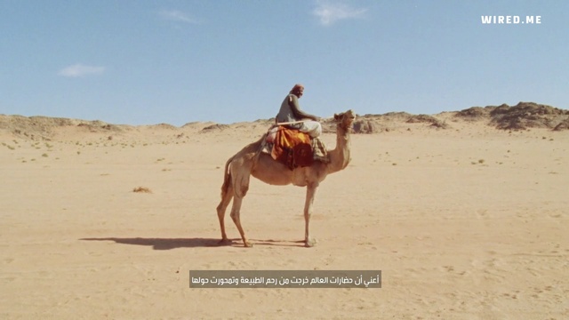 Video Reference: Sky, Camel, Cloud, Working animal, Camelid, Fawn, Travel, Adaptation, Landscape, Erg