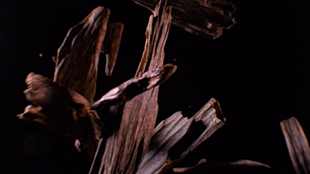 Video Reference: Wood, Terrestrial plant, Trunk, Darkness, Twig, Art, Plant, Natural material, Metal, Rock