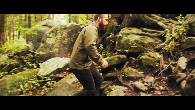 Video Reference: Plant, Natural environment, People in nature, Terrestrial plant, Natural landscape, Bedrock, Wood, Grass, Trunk, Landscape