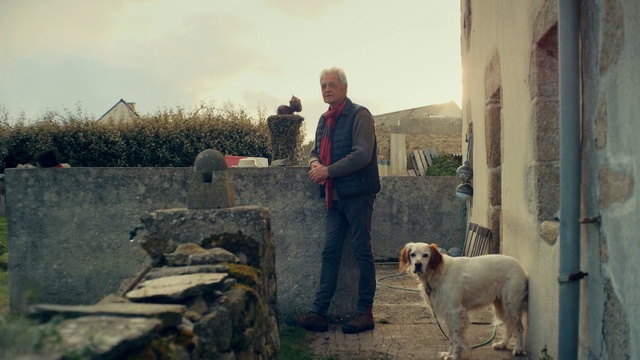 Video Reference: Sky, Dog, Cloud, Dog breed, Carnivore, Companion dog, Jacket, Leash, Winter, Landscape