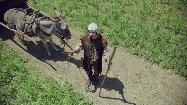 Video Reference: Plant, Working animal, Farmer, Agriculture, Grass, Pack animal, Grassland, Terrestrial animal, Field, Wildlife