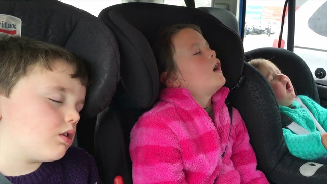 Video Reference: Nose, Cheek, Skin, Mouth, Comfort, Sharing, Toddler, Fun, Car seat, Black hair