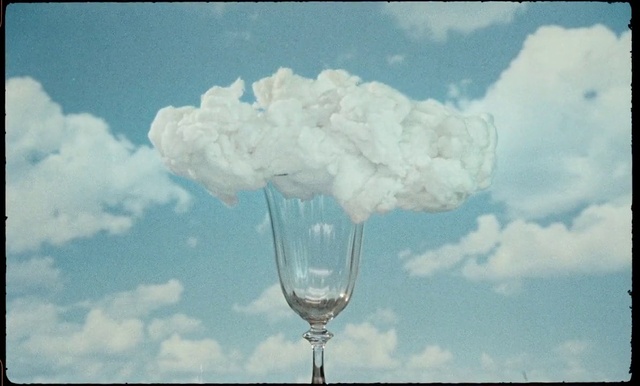 Video Reference: Cloud, Sky, Daytime, Stemware, Drinkware, Liquid, Nature, Flower, Plant, Water