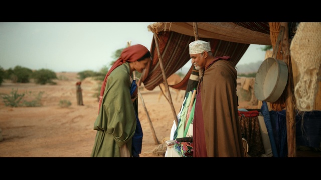 Video Reference: Headgear, Sky, Tints and shades, Landscape, Event, Happy, Aeolian landform, Conversation, Travel, History