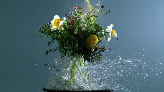 Video Reference: Flower, Water, Petal, Liquid, Plant, Flower Arranging, Bouquet, Artificial flower, Flowering plant, Landscape