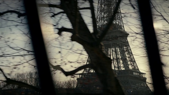 Video Reference: Atmosphere, Natural environment, Sky, Natural landscape, Wood, Twig, World, Trunk, Water, Black-and-white