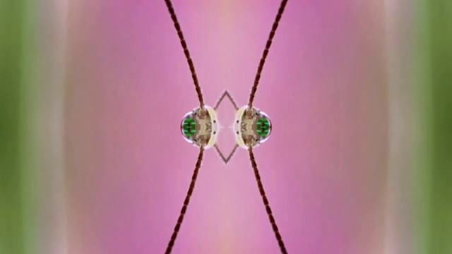 Video Reference: Hand, Insect, Eye, Plant, Human body, Purple, Pink, Arthropod, Natural material, Pest