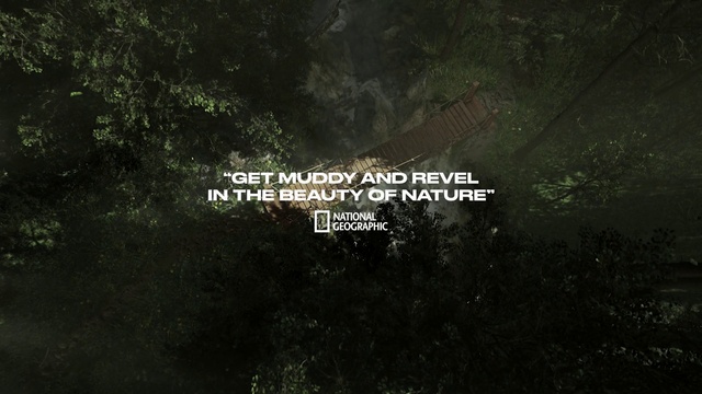 Video Reference: Natural landscape, Terrestrial plant, Font, Tree, Grass, Landscape, Forest, Darkness, Logo, Jungle