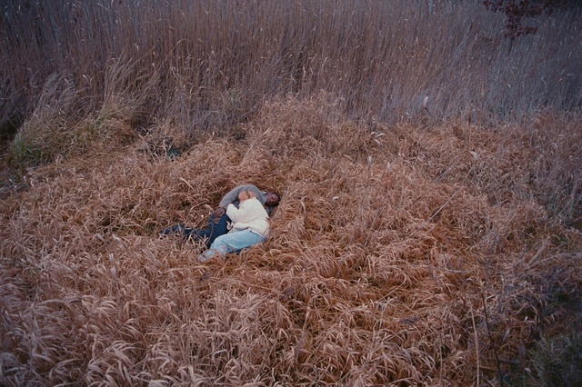 Video Reference: Ecoregion, People in nature, Wood, Natural landscape, Grass, Grassland, Landscape, Twig, Prairie, Winter