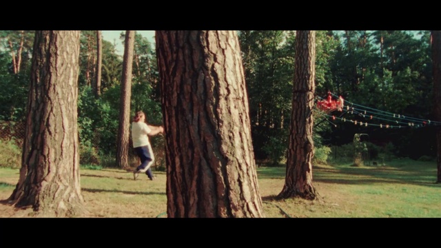 Video Reference: Plant, People in nature, Tree, Wood, Branch, Natural landscape, Gesture, Trunk, Grass, Happy