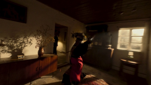 Video Reference: Picture frame, Window, Flash photography, Houseplant, Wood, Plant, Tints and shades, Event, Flooring, Darkness