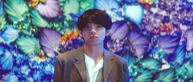 Video Reference: Photograph, Light, Purple, Blue, Human, Nature, Fashion, Flash photography, Coat, Organism