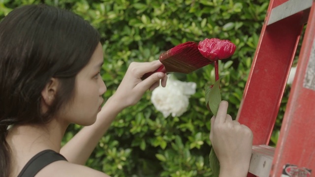 Video Reference: Plant, Hand, Petal, Botany, Flower, People in nature, Gesture, Finger, Grass, Natural foods