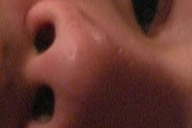 Video Reference: Eyelash, Snout, Whiskers, Fur