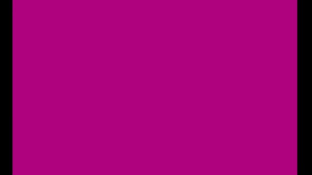 Video Reference: solid color, magenta, purple, background, abstract, blank screen, minimal, full frame