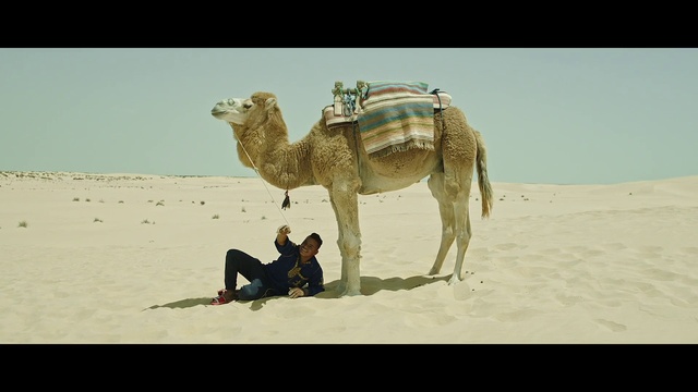 Video Reference: Sky, Ecoregion, Camel, Vertebrate, Mammal, Camelid, Adaptation, Landscape, Travel, Working animal