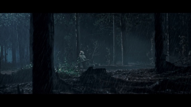 Video Reference: Plant, Flash photography, Wood, Window, Sky, Tints and shades, Cg artwork, Glass, Midnight, Tree