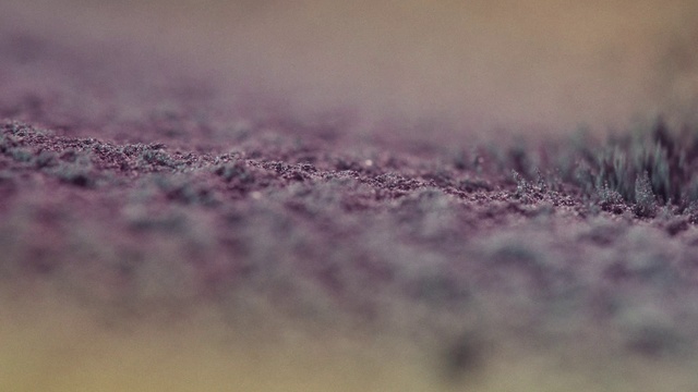 Video Reference: Cloud, Purple, Natural landscape, Wood, Violet, Sky, Landscape, Grass, Freezing, Meteorological phenomenon