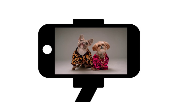 Video Reference: Arm, Tablet computer, Output device, Portable communications device, Communication Device, Sleeve, Gesture, Mobile device, Gadget, Mobile phone