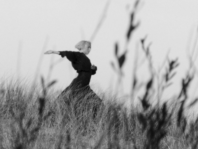 Video Reference: Plant, Sky, Beak, Wood, People in nature, Natural landscape, Happy, Grass, Feather, Twig