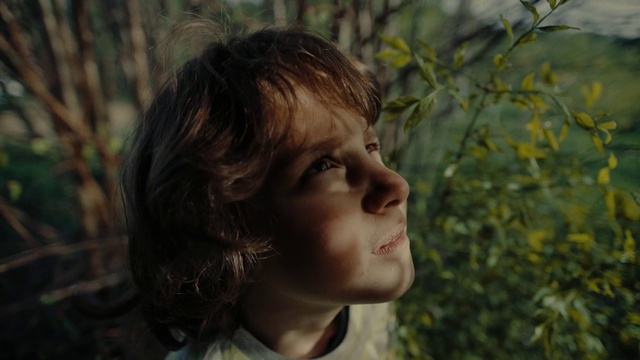 Video Reference: Nose, Hair, Lip, People in nature, Eyelash, Happy, Wood, Grass, Flash photography, Forest