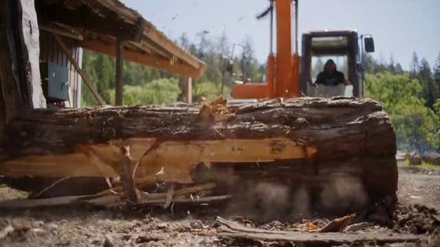 Video Reference: Plant, Wood, Vehicle, Motor vehicle, Automotive tire, Grass, Sky, Automotive wheel system, Machine, Event