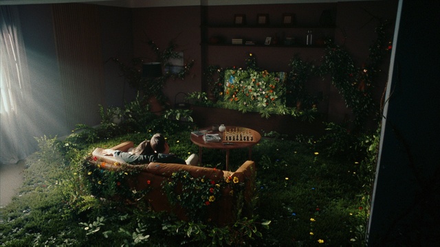 Video Reference: Plant, Window, Tints and shades, Grass, Tree, Event, Landscape, Font, Water feature, Room