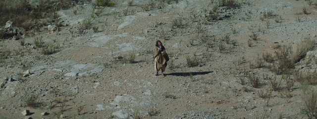 Video Reference: Bedrock, Plant, Fawn, Terrestrial animal, Landscape, Beak, Soil, Wildlife, Rock, Sand