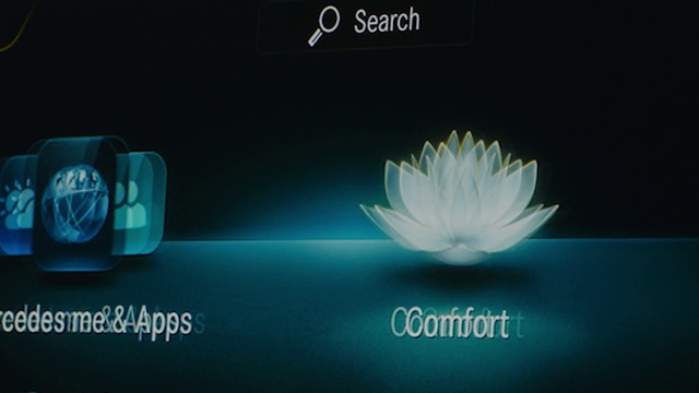 Video Reference: Flower, Plant, Gesture, Font, Petal, Gas, Art, Darkness, Brand, Flowering plant