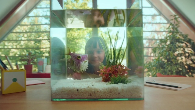 Video Reference: Plant, Textile, Organism, Interior design, Wood, Rectangle, Flower, Terrestrial plant, Art, Tints and shades