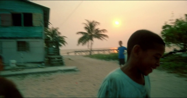 Video Reference: Sky, Window, Plant, Building, Tree, Happy, Body of water, Arecales, Travel, Adaptation
