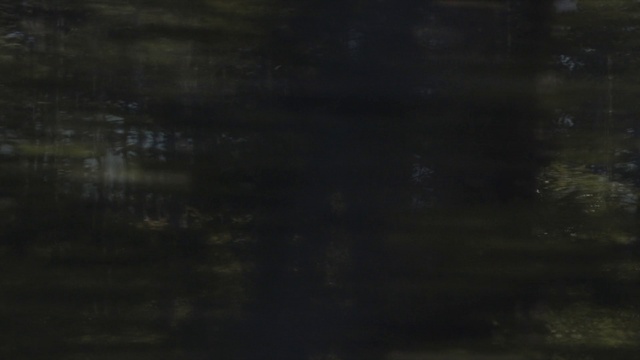 Video Reference: Brown, Wood, Tints and shades, Pattern, Electric blue, Darkness, Midnight, Forest, Monochrome photography, Font