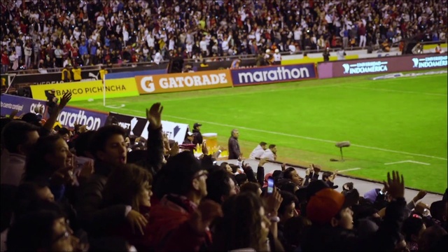 Video Reference: World, Player, Fan, Grass, Competition event, Sports, Crowd, Championship, Tournament, Sports jersey