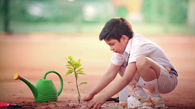 Video Reference: Photograph, People in nature, Nature, Shorts, Happy, Plant, Grass, Sunlight, Flash photography, Morning